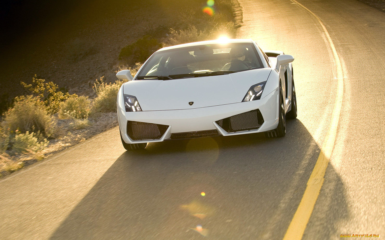 , lamborghini